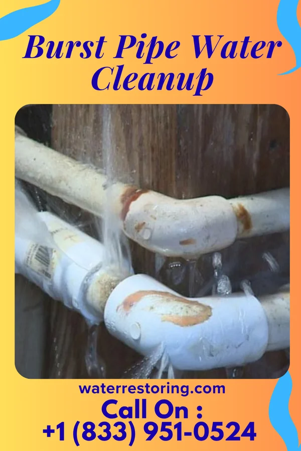 Burst Pipe Water Cleanup in Columbus, MS