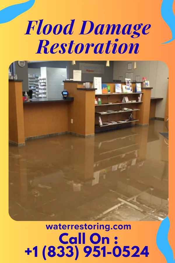 Flood Damage Restoration in Columbus, MS