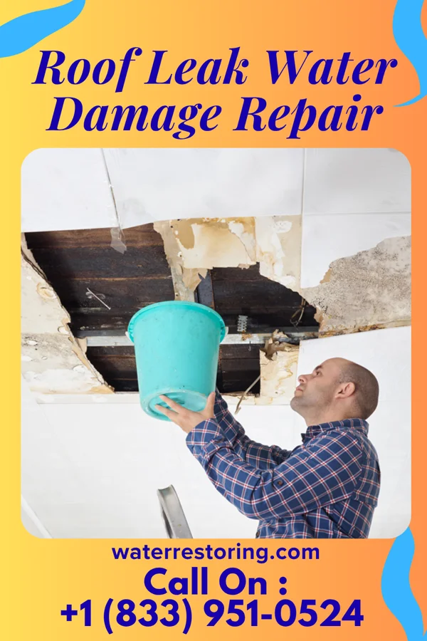 Roof Leak Water Damage Repair in Columbus, MS