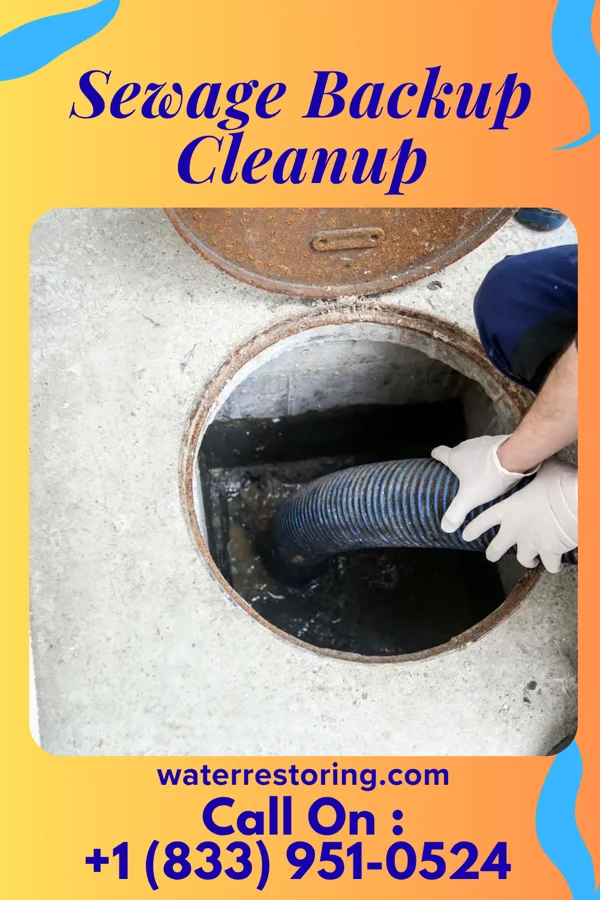 Sewage Backup Cleanup in Columbus, MS